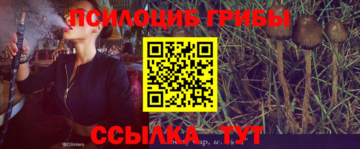 Галлюциногенные грибы GOLDEN TEACHER  Псилоцибиновые грибы Psilocybine cubensis  Вход с VPN  Нижнеудинск 