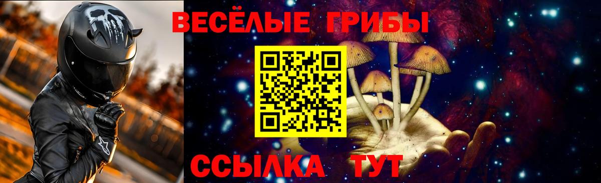 Псилоцибиновые грибы прущие грибы Нижнеудинск